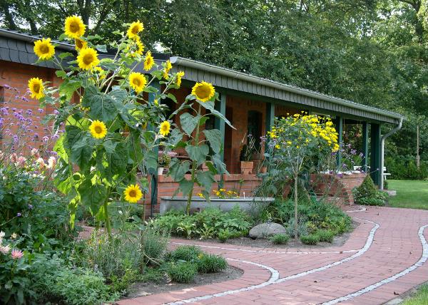 Mein Garten